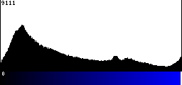 Blue Histogram