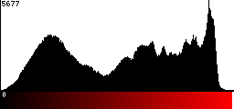 Red Histogram