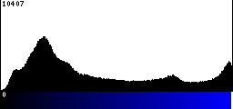 Blue Histogram