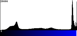 Blue Histogram