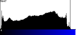 Blue Histogram