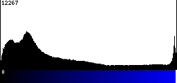 Blue Histogram