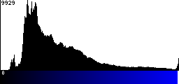Blue Histogram