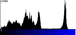 Blue Histogram