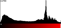Red Histogram