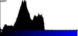 Blue Histogram