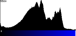 Blue Histogram