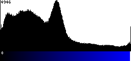 Blue Histogram