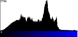 Blue Histogram