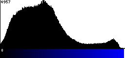 Blue Histogram