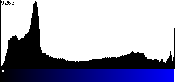 Blue Histogram