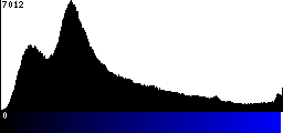 Blue Histogram