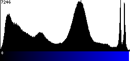 Blue Histogram