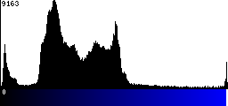 Blue Histogram