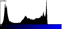 Blue Histogram