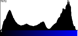Blue Histogram