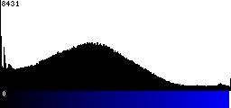Blue Histogram
