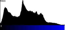 Blue Histogram