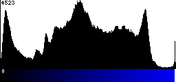 Blue Histogram