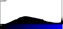 Blue Histogram