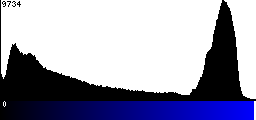 Blue Histogram