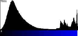 Blue Histogram