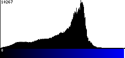Blue Histogram