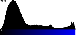 Blue Histogram