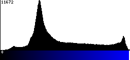 Blue Histogram