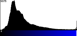 Blue Histogram