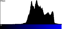 Blue Histogram