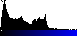 Blue Histogram