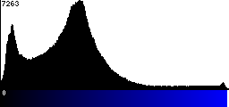 Blue Histogram