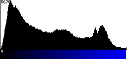 Blue Histogram