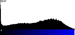 Blue Histogram