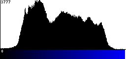 Blue Histogram