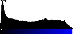 Blue Histogram