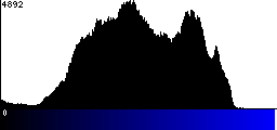 Blue Histogram