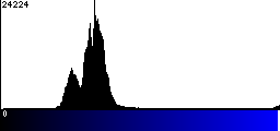 Blue Histogram
