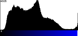 Blue Histogram