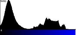Blue Histogram