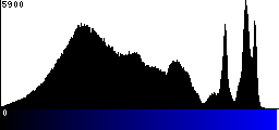 Blue Histogram