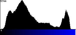 Blue Histogram