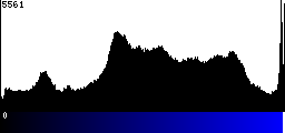 Blue Histogram