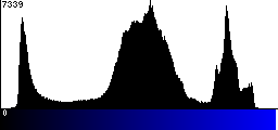 Blue Histogram