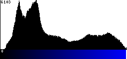 Blue Histogram