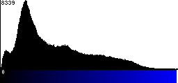 Blue Histogram