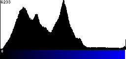 Blue Histogram