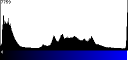Blue Histogram