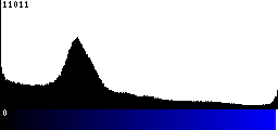 Blue Histogram